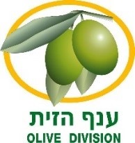 ענף שמן זית