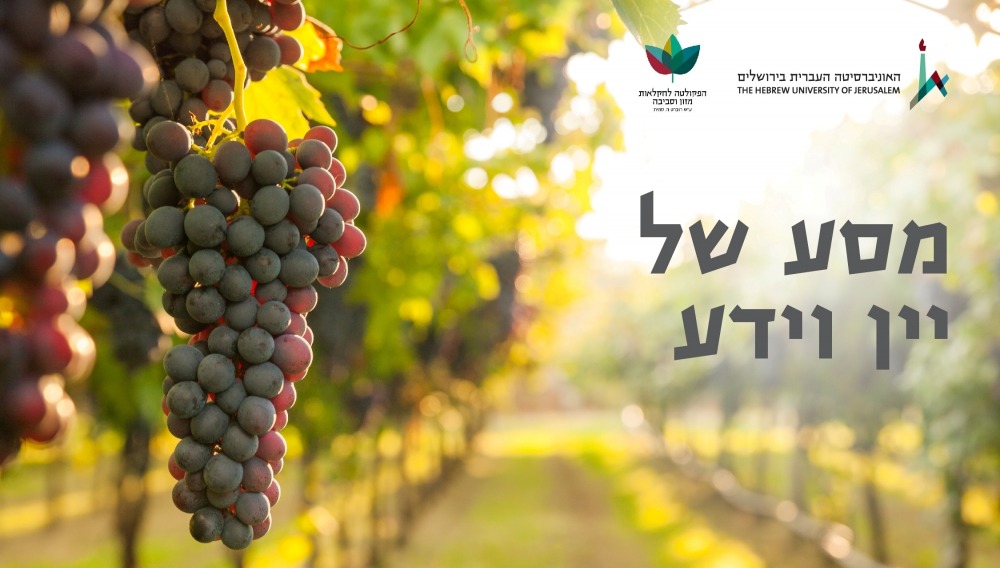 ייננות באוניברסיטה העברית