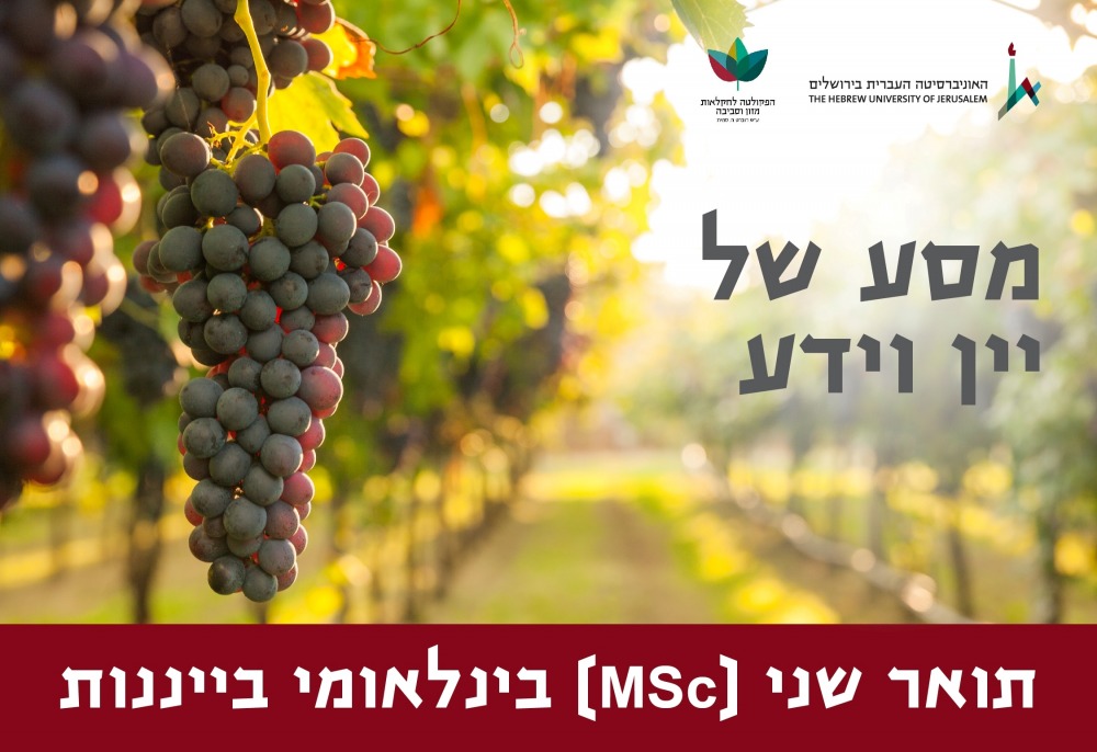 תואר שני בייננות